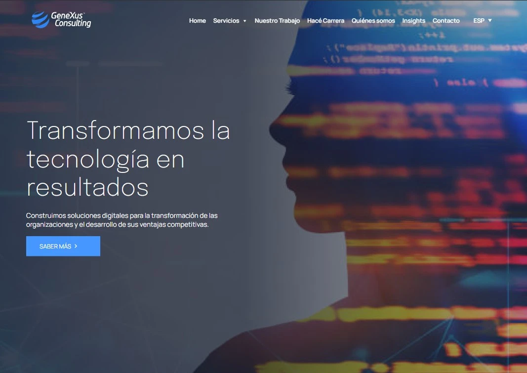 GeneXus Consulting